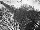 PARIS (81).JPG